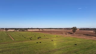 96 Murdoch Road Fairy Dell VIC 3561