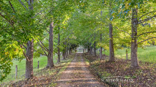 1216 Bellangry Rd Bellangry NSW 2446