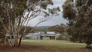 857 Dwelyerdine Road Toolibin WA 6312