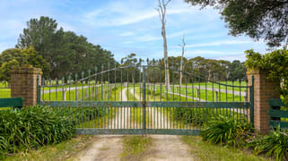 247 Coolart Road Tyabb VIC 3913
