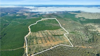 3653 Arkstone Road Burraga NSW 2795