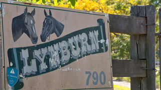 790 Mongogarie Road Mongogarie NSW 2470