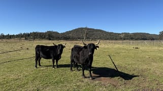 2040 Golden Highway Sandy Hollow NSW 2333