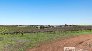 Lot 226 &/248 Wagner Road Scotts Brook WA 6244