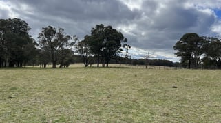 # Coopers Road Red Range NSW 2370