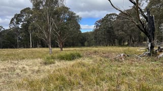 * Coopers Road Red Range NSW 2370