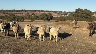 342 Badgingarra Road Dandaragan WA 6507