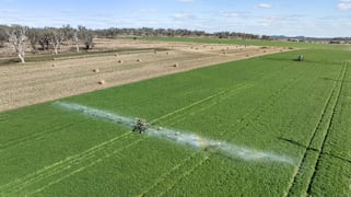 3095 Toowoomba Cecil Plains Road Linthorpe QLD 4356