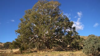 355 Gallymont Road Mandurama NSW 2792