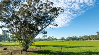 2594 Bedgerabong Road Forbes NSW 2871