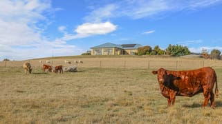 1525 Trunkey Road Georges Plains NSW 2795
