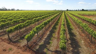 189 Myall Park Road Griffith NSW 2680