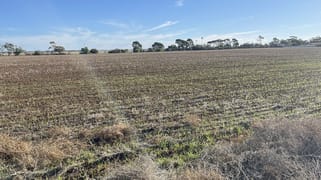 Lot 405 North West Terrace Warnertown SA 5540