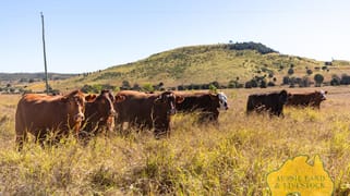 1278 TOP GURGEENA ROAD Branch Creek QLD 4625
