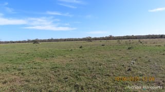 * Springvale Walgett NSW 2832