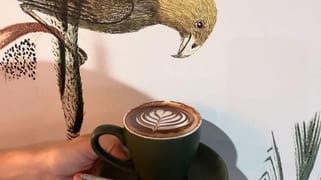 Darwin City NT 0800