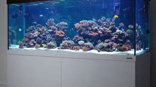 Sydney NSW 2000