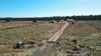 6754 Coonabarabran Road Premer NSW 2381