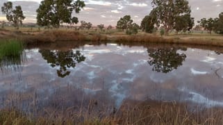 14317 Golden Highway Leadville NSW 2844