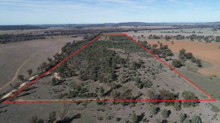 79 Mercadool Lane Bogan Gate NSW 2876