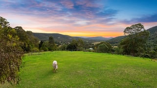 43 Rowe Lane Cedar Creek QLD 4207