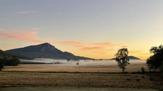Mount Barney QLD 4287