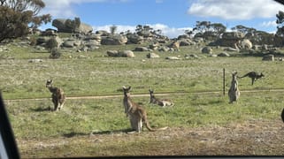 67 Canon Hill Road Dale WA 6304