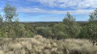 2939 Mosquito Creek Road Mosquito Creek QLD 4387