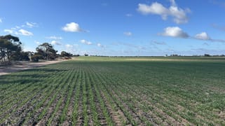 . "Morgans", White Well & Mt Pleasant Roads Dumbleyung WA 6350