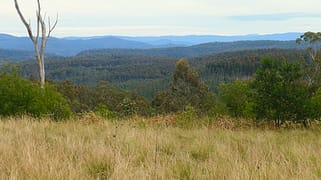3 Hills Gate Forrest Road Upper Tooloom NSW 2475