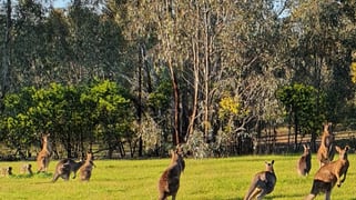 647 Sloans Road Violet Town VIC 3669
