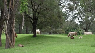 1436 Gowings Hill Rd Sherwood NSW 2440 1436 Gowings Hill Rd Sherwood NSW 2440