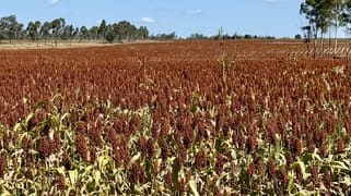 Lot 2 Reedy Creek Road Benair QLD 4610