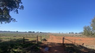 382 Jones Lane Condobolin NSW 2877