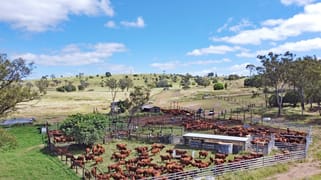 "Mt Shaw"/2123 Harrami Road Harrami QLD 4630
