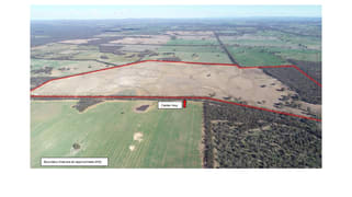 54/54 Calder Highway Wedderburn VIC 3518