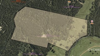 1695 Bendoc-Orbost Road Bendoc VIC 3888