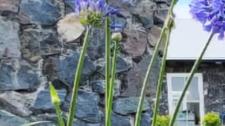 Bald Knob QLD 4552 Bald Knob QLD 4552