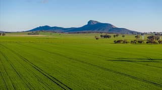 621 The Rock-Collingullie Road The Rock NSW 2655