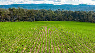 119 Paddys Flat Road Tabulam NSW 2469