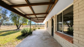 754 Spring Creek Road Gulgong NSW 2852