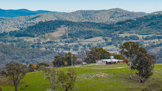 505 Wangalo Road Peelwood NSW 2583