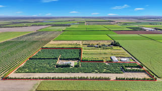 243 Wises Road Alloway QLD 4670 243 Wises Road Alloway QLD 4670