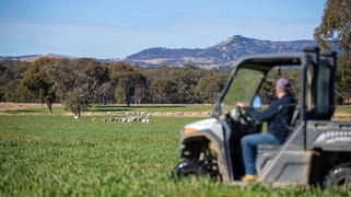 214 Tarban Loop Road Tenterfield NSW 2372