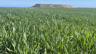 Lot 112 Jackson Road Bowes WA 6535