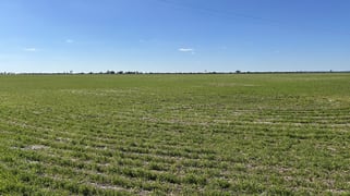 Single Tree Road Donald VIC 3480