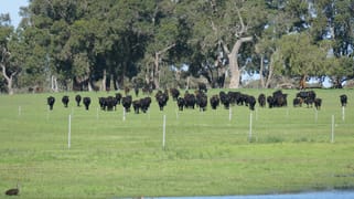1770 Beermullah Road West Wanerie WA 6503