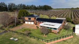 19 Wallace Lane Orange NSW 2800