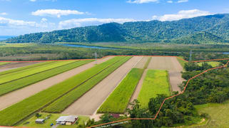 80 Haren Road Bellenden Ker QLD 4871