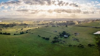 102 Allandale Road Allandale NSW 2320